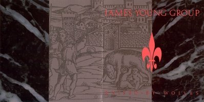 Front and back cover of Raised By Wolves